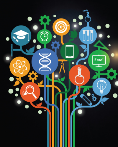 Study Education Course: Structure, Eligibility, Exams