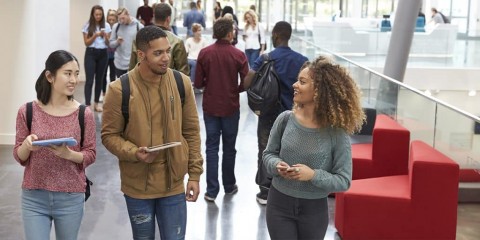 11-popularcourse-1024x512